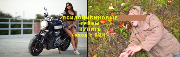 ГАЛЛЮЦИНОГЕННЫЕ ГРИБЫ Волоколамск