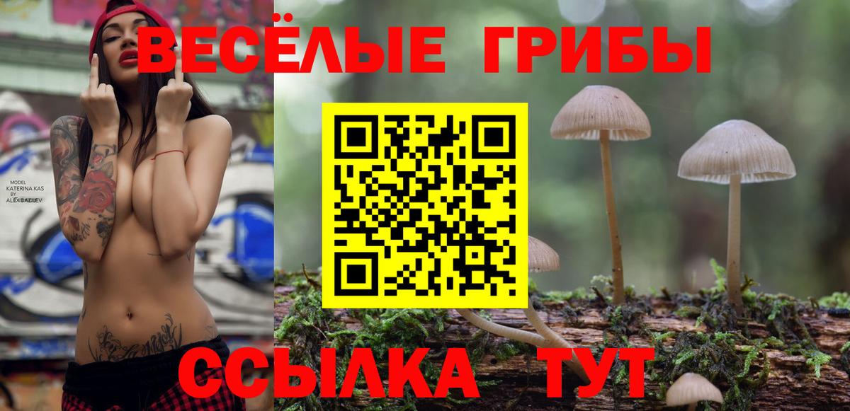 Псилоцибиновые грибы ЛСД  Вход с VPN  Псилоцибиновые грибы мицелий  Белорецк 