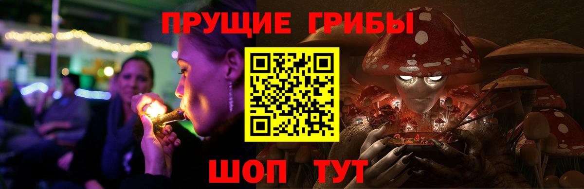 Псилоцибиновые грибы Psilocybine cubensis Белорецк